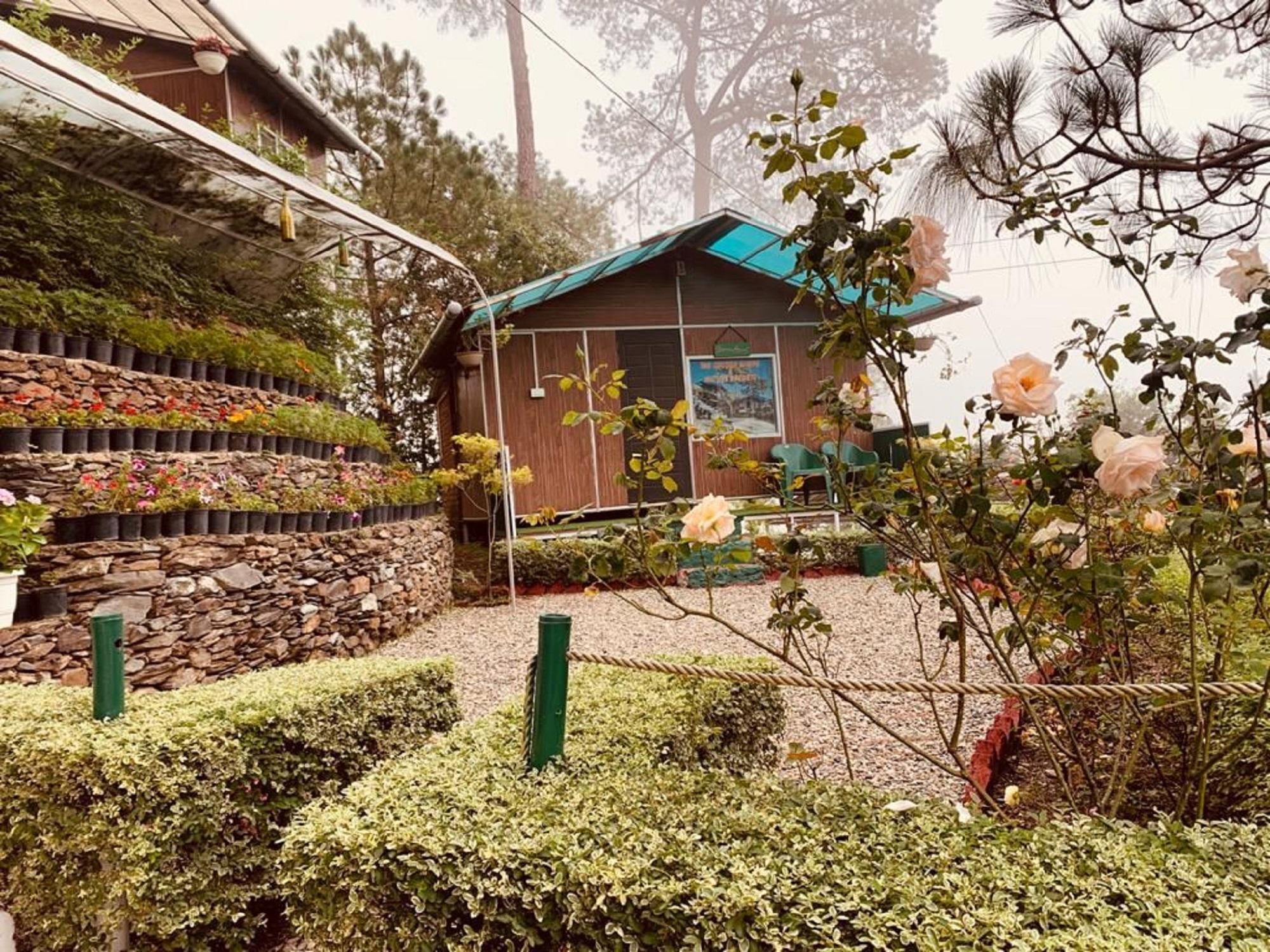 Deluxe Cottage
